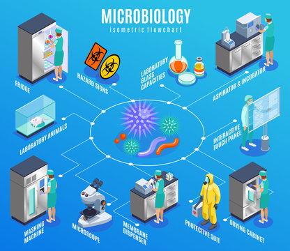 Microbiology Isometric Flowchart