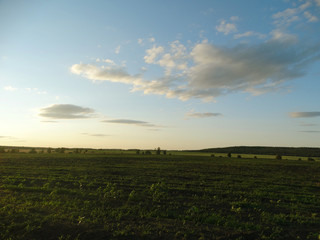 sunset over green field
