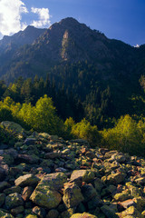 Fototapety na wymiar - Fototapeta24.pl