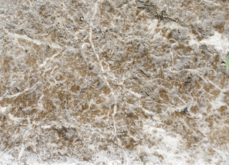 Gray natural marble granite background,
