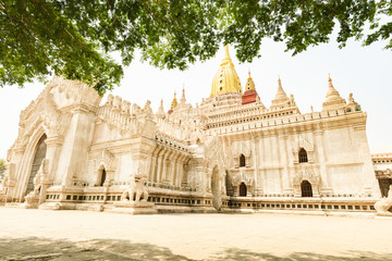 Stunning view of the beautiful Ananda Temple framed by a green tree canopy. Ananda Temple, is a Buddhist temple located in The Bagan archaelogical zone. Bagan, Myanmar.