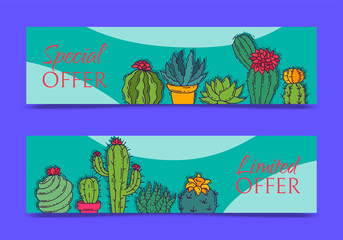 Succulents decorative banners cacti green plants vector illustration. Nature botanical houseplant floral banner. Cactus design botany bouquet. Decorative flora garden sale card.