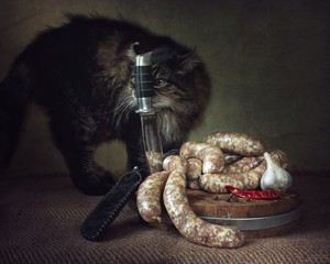 Still life with homemade sausage and cat