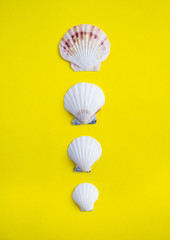 Vertical line of seashells on yellow background