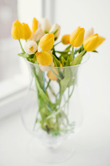 yellow tulips in a glass vase
