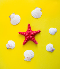 Red starfish and white seashells on yellow background
