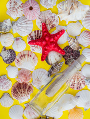 Different white seashells with message in a bottle on yellow background