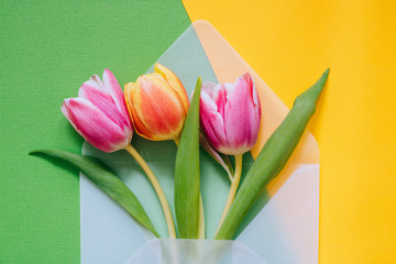 Open matte transparent envelope with multicolored tulips on green and yellow background. Easter concept, flat lay, copy space.