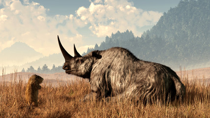 A marmot approaches an old and grey woolly rhinocerous.   The great preshistoric rhino sits in long yellow grass with tree covered hills in the background.  3D Rendering - obrazy, fototapety, plakaty