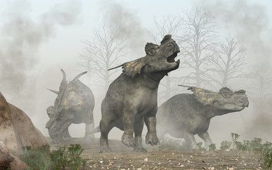Three achelousauruses search  a foggy landscape.  The lead dinosaur calls out into the air, while one of the others peers into the mist, and the third sniffs the ground. 3D Rendering
