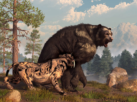 A saber-toothed cat tries to drive a short-faced bear out of its territory.  The bear is annoyed and snarls back in retaliation.  3D Rendering