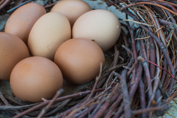 Natural Easter eggs in a wicker nest. Close-up.