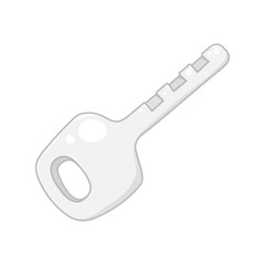 key isolated illustration on white background