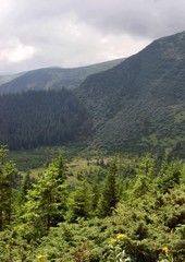 Carpathian Valley before the rain