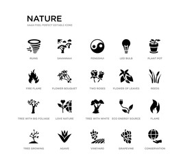 set of 20 black filled vector icons such as conservation, flame, reeds, plant pot, grapevine, vineyard, fire flame, led bulb, fengshui, savannah. nature black icons collection. editable pixel