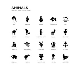 set of 20 black filled vector icons such as albotros, octopus, seahorse, eel, medusa, hummerhead, camel, clown fish, panda, sea cow. animals black icons collection. editable pixel perfect