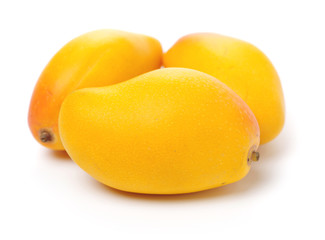 Mango on white background