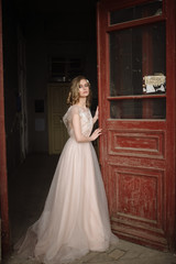 Young woman posing in a pink tender light long dress indoors