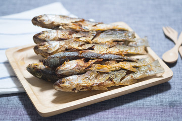 Fried mullet fish