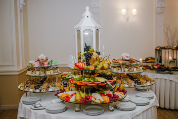 Exotic, organic fruits, light snacks in a plate on a buffet table. Assorted mini delicacies and snacks. Decorated delicious table for a party goodies