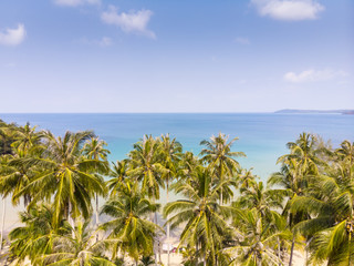Tropical landscape with palm trees on the beach and blue sea, aerial view from drone of exotic bay, paradise summer vacation holidays destination, beautiful nature, nobody