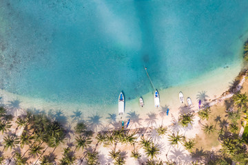 Tropical beach aerial photography with coconut palm trees along the coast and blue transparent sea water with coral reef, paradise vacation holidays destination, viewed from drone