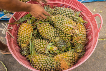 Pineapples for sale in thailand