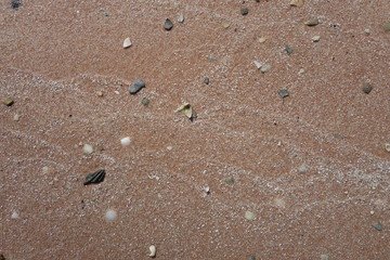 波によるビーチの砂模様（西オーストラリア・シャークベイ・Francois Peron National Park）