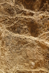 ピナクルス・岩石の表面クローズアップ（西オーストラリア）