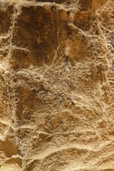 ピナクルス・岩石の表面クローズアップ（西オーストラリア）