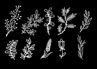 plant silhouettes