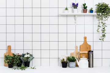 Various kinds of kitchen tools arranged on the white table. And tidy flower pots are placed neatly on the shelf.