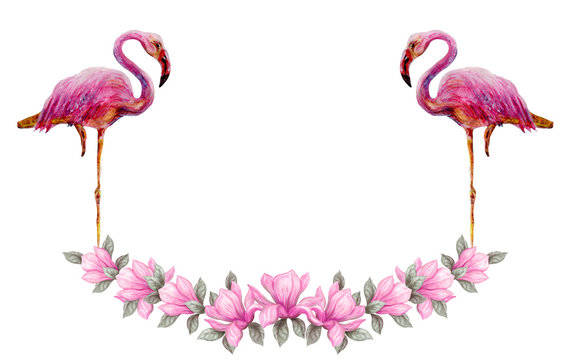 Two pink flamingos stands in floral frame of magnolia flowers isolated on white background. Hand drawn painting watercolor paints. © Marisha
