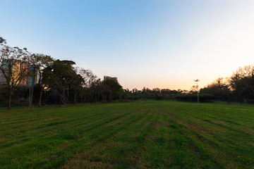Fototapeta premium Silhouette sunset colorful sky at public park with green tree and meadow