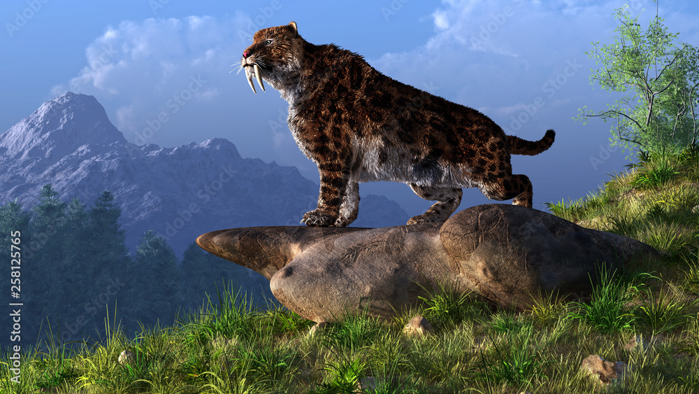 Poster a saber-toothed cat stands atop a boulder on a grassy hill. the ferocious prehistoric predator looks