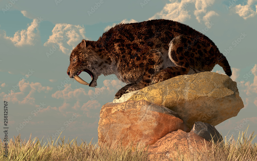 Poster a saber-toothed cat stands atop a boulder on a grassy plain. the ferocious prehistoric predator bear