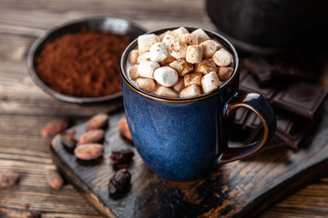 Cup of hot chocolate with marshmallows