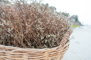 Dried flower on wood basket at the beach