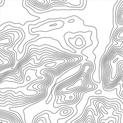 Topographic map background. Geographic World Topography map grid abstract vector illustration. Topo map with elevation.