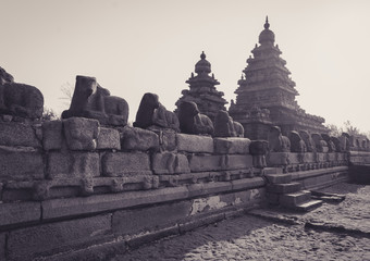 The shore temple