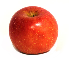 Apple colorful delicious