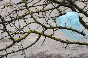 Garbage in the forest. Plastic bags thrown in the forest grass and bushes. The problem of ecology and nature pollution.