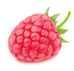 Ripe single raspberry isolated on a white.