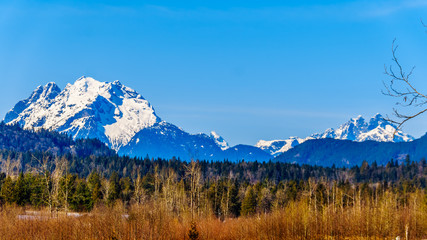 Fototapeta na wymiar Mount Robie Reid on the left and Mount Judge Howay on the right, viewed Sylvester Road over the Blueberry Fields near Mission, British Columbia, Canada under clear blue sky on a nice winter day
