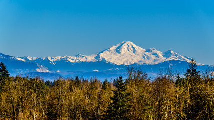 Mount Baker, a dormant volcano in Washington State viewed from the Blueberry Fields of Glen Valley...