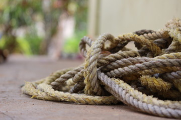 entangled ropes