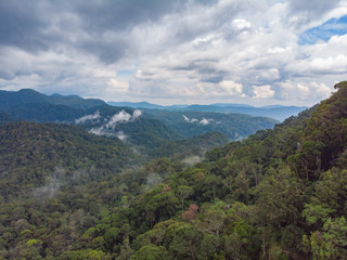 Fototapeta na wymiar Sinharaja rain forest nature reserve Sri Lanka Aerial View at Sunset Mountains Jungle Ancient Forest
