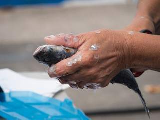 Man selling fish in Marseilles, France © timsimages.uk