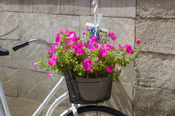 Fototapeta na wymiar flowers on the bike,old bike with flowers near the wall
