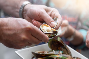 Eating mussel in New Zealand